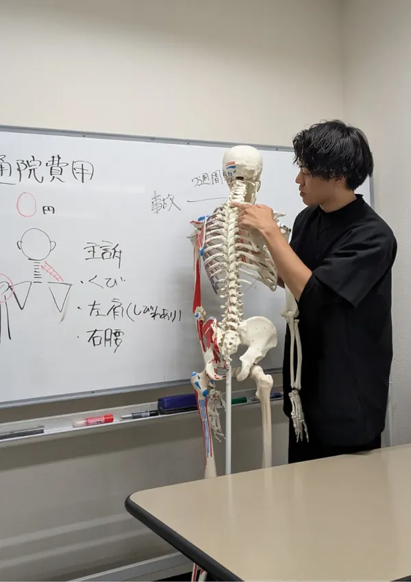 骨格模型を使って痛みの原因を説明するスタッフ